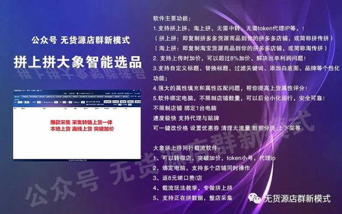 拼多多無(wú)貨源店群模式解析 運(yùn)營(yíng)技術(shù)、招商代理與風(fēng)險(xiǎn)規(guī)避指南